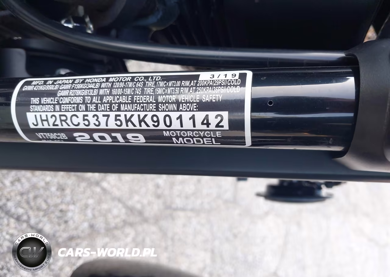 2019 Honda Vt750 C2B VIN:JH2RC5375KK901142 - 10