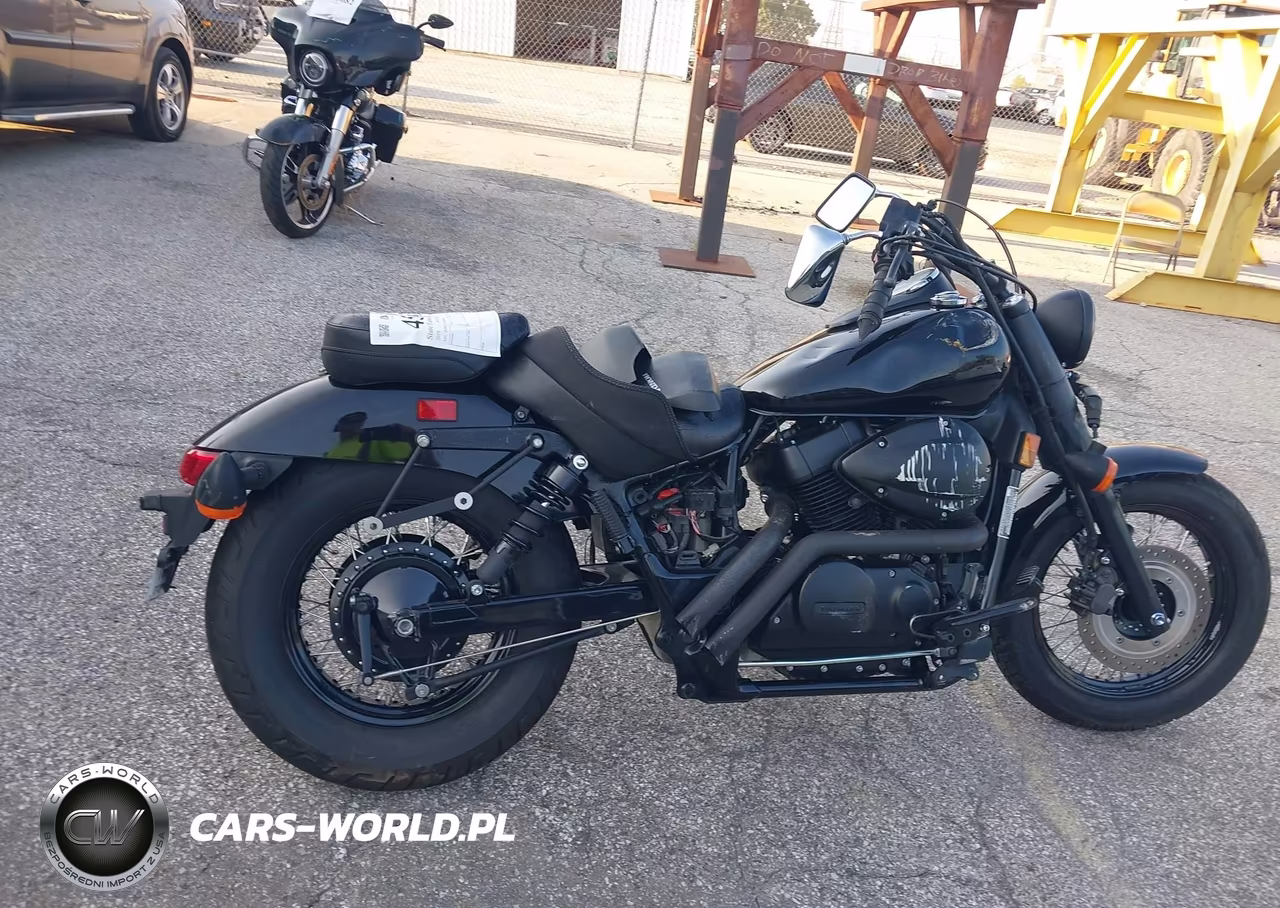 2019 Honda Vt750 C2B VIN:JH2RC5375KK901142 - 13