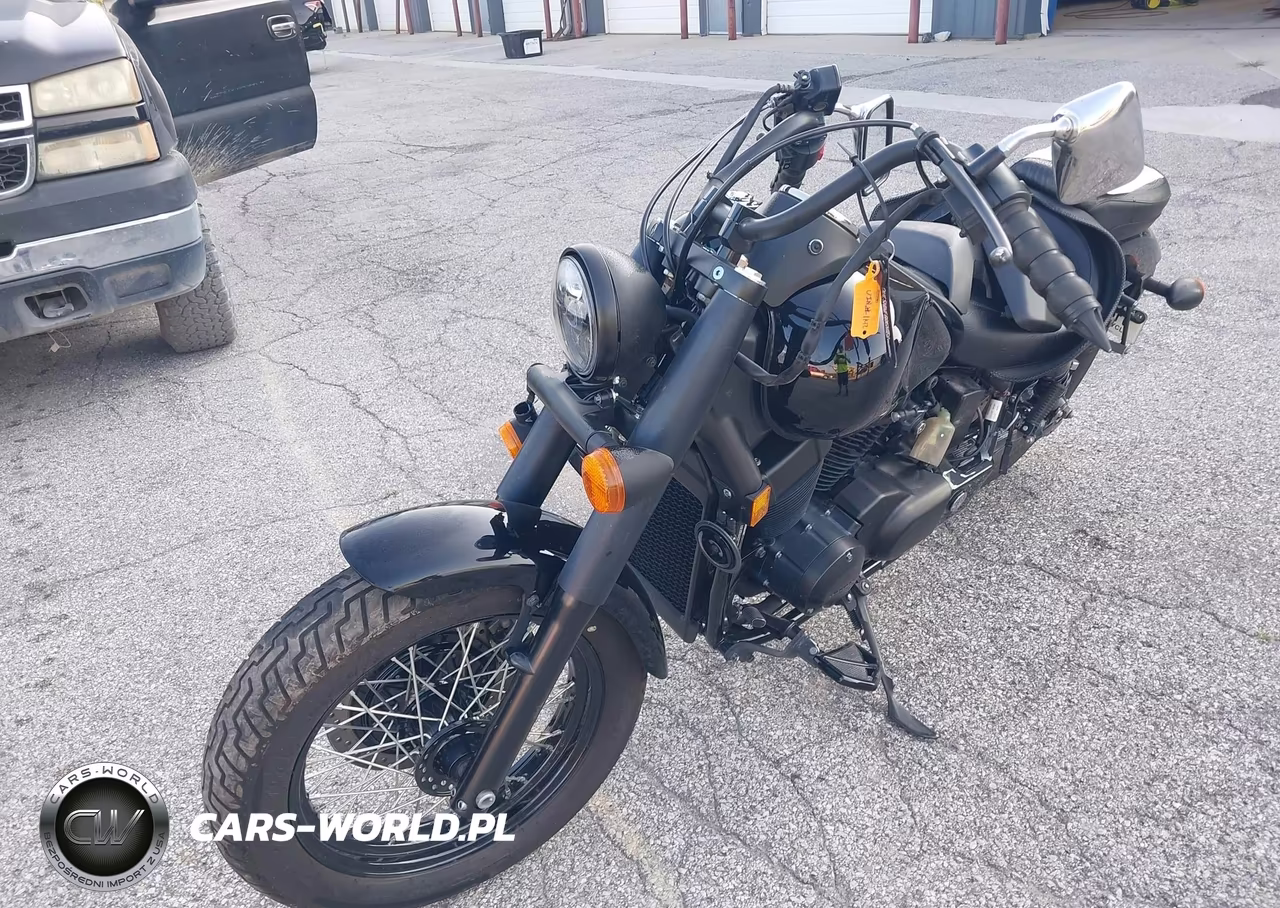 2019 Honda Vt750 C2B VIN:JH2RC5375KK901142 - 2