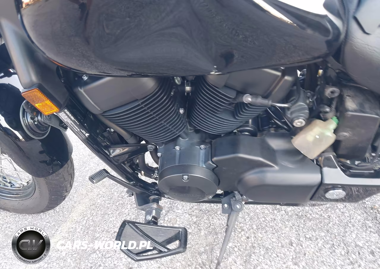 2019 Honda Vt750 C2B VIN:JH2RC5375KK901142 - 9