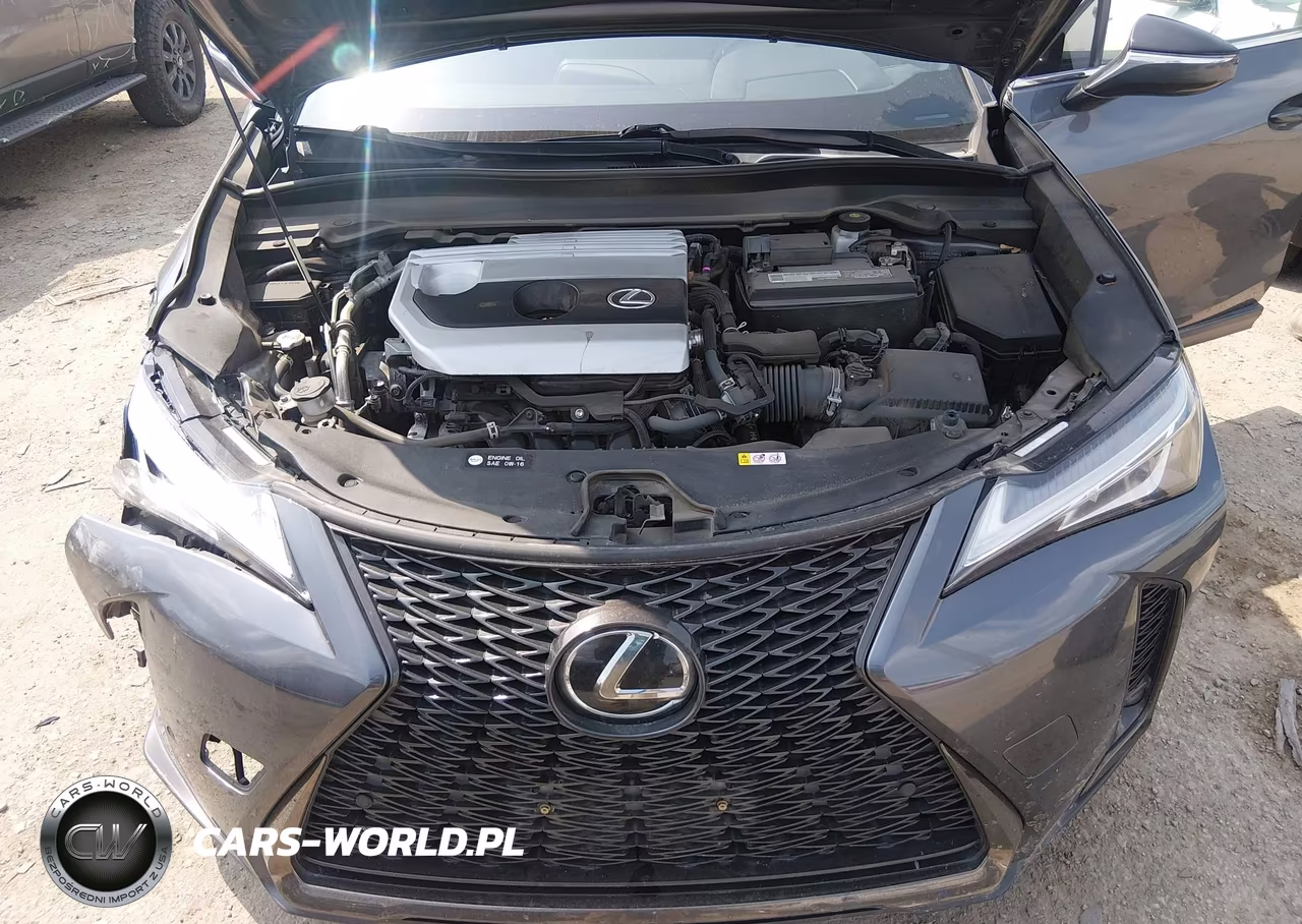2022 Lexus Ux 200 F Sport VIN:JTHR3JBH4N2054838 - 10