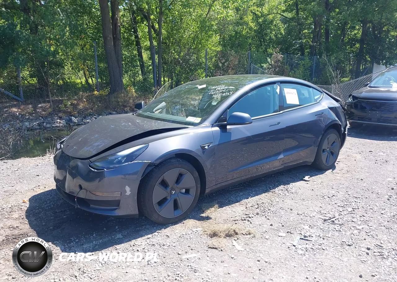 2023 Tesla Model 3 Rear-Wheel Drive VIN:5YJ3E1EA1PF652515 - 2