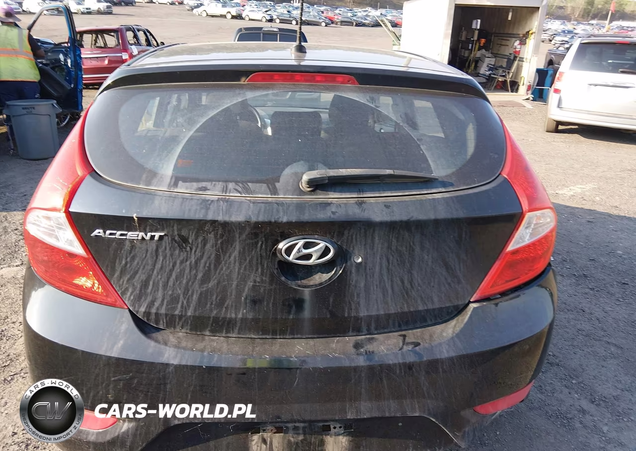 2013 Hyundai Accent Gs VIN:KMHCT5AE1DU116314 - 16