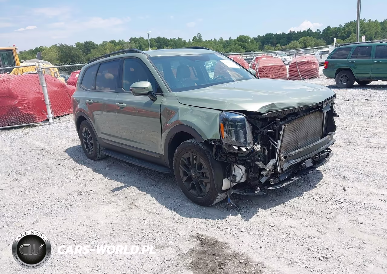 2024 Kia Telluride Sx Prestige X-Pro VIN:5XYP5DGC9RG518669 - 1