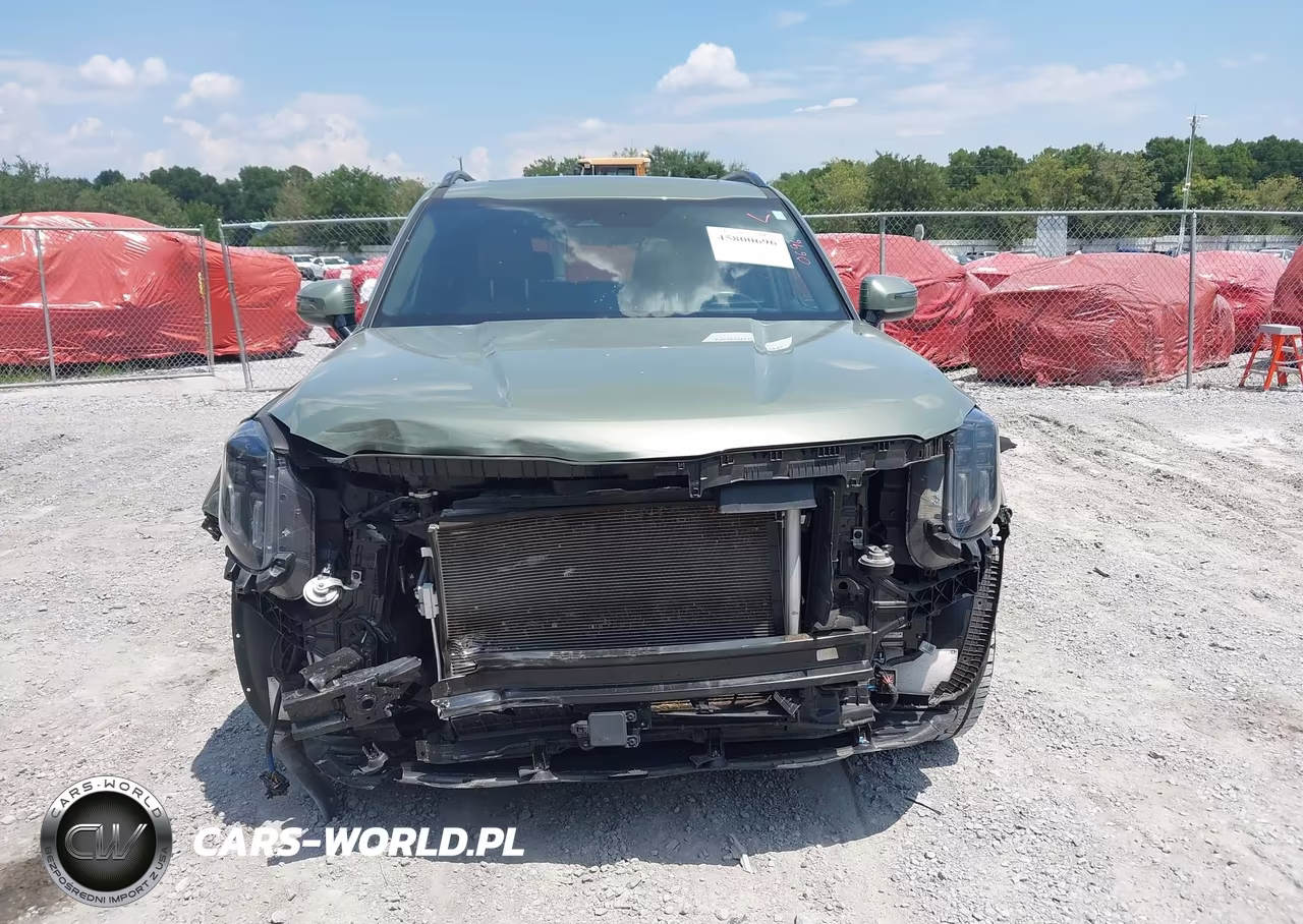 2024 Kia Telluride Sx Prestige X-Pro VIN:5XYP5DGC9RG518669 - 12