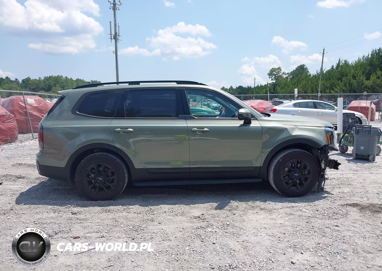 2024 Kia Telluride Sx Prestige X-Pro VIN:5XYP5DGC9RG518669 - 13