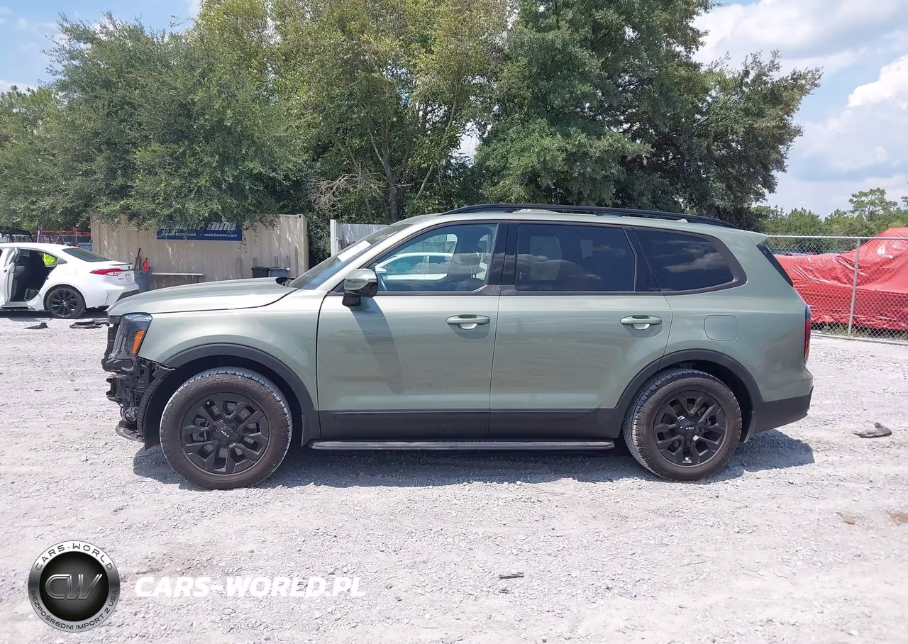 2024 Kia Telluride Sx Prestige X-Pro VIN:5XYP5DGC9RG518669 - 14