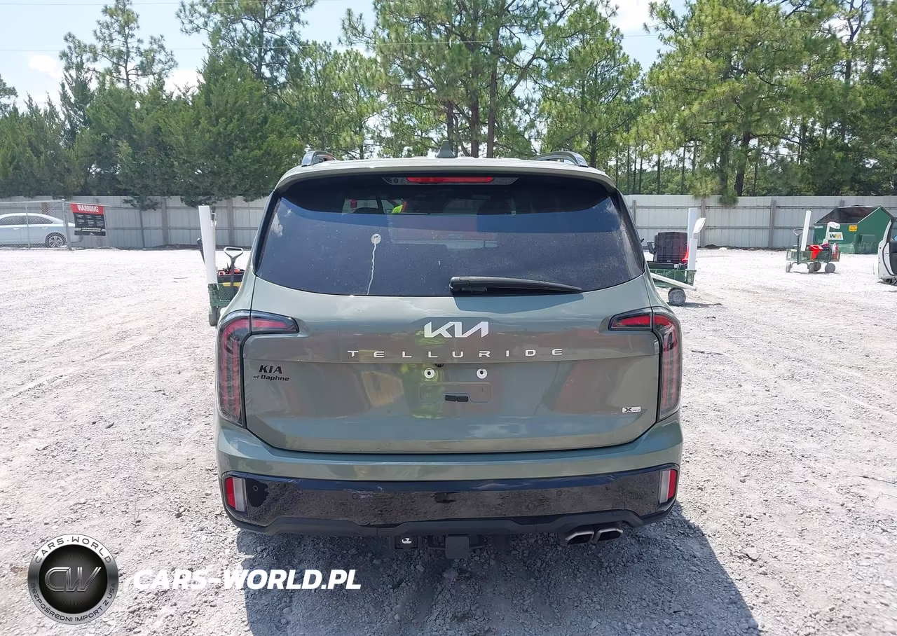 2024 Kia Telluride Sx Prestige X-Pro VIN:5XYP5DGC9RG518669 - 16