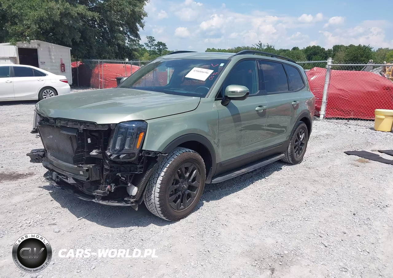 2024 Kia Telluride Sx Prestige X-Pro VIN:5XYP5DGC9RG518669 - 2