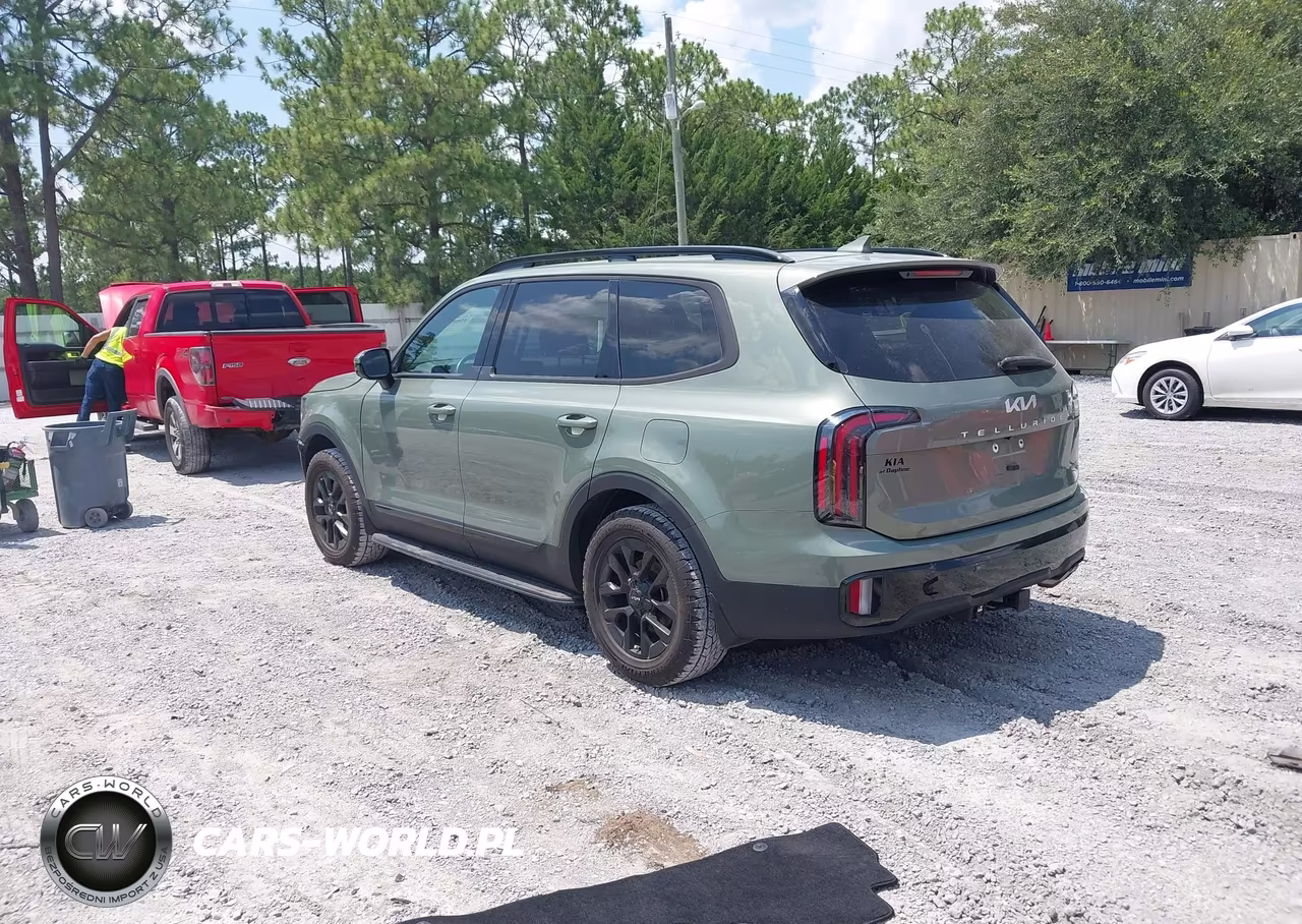 2024 Kia Telluride Sx Prestige X-Pro VIN:5XYP5DGC9RG518669 - 3