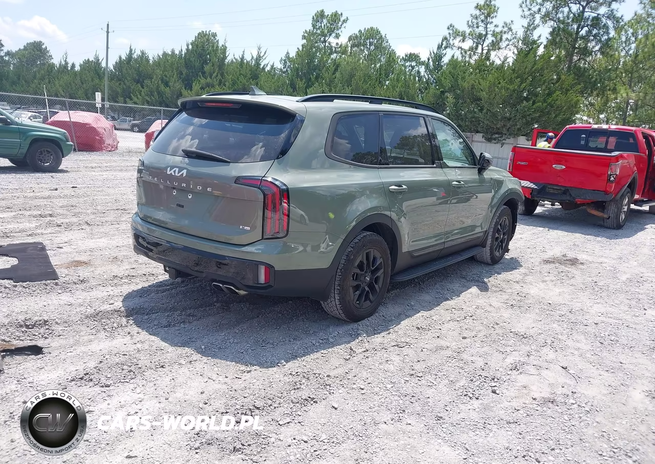 2024 Kia Telluride Sx Prestige X-Pro VIN:5XYP5DGC9RG518669 - 4