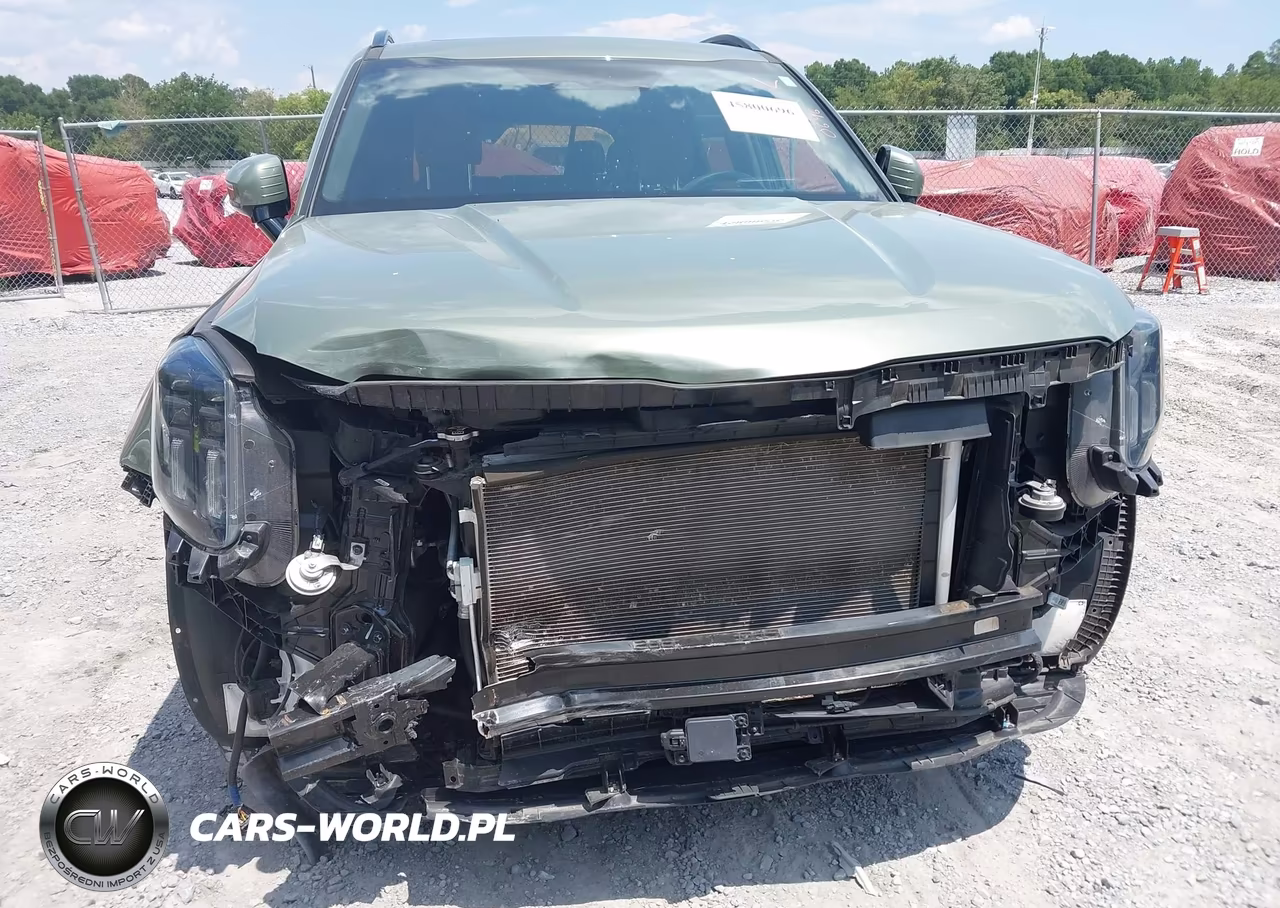 2024 Kia Telluride Sx Prestige X-Pro VIN:5XYP5DGC9RG518669 - 6