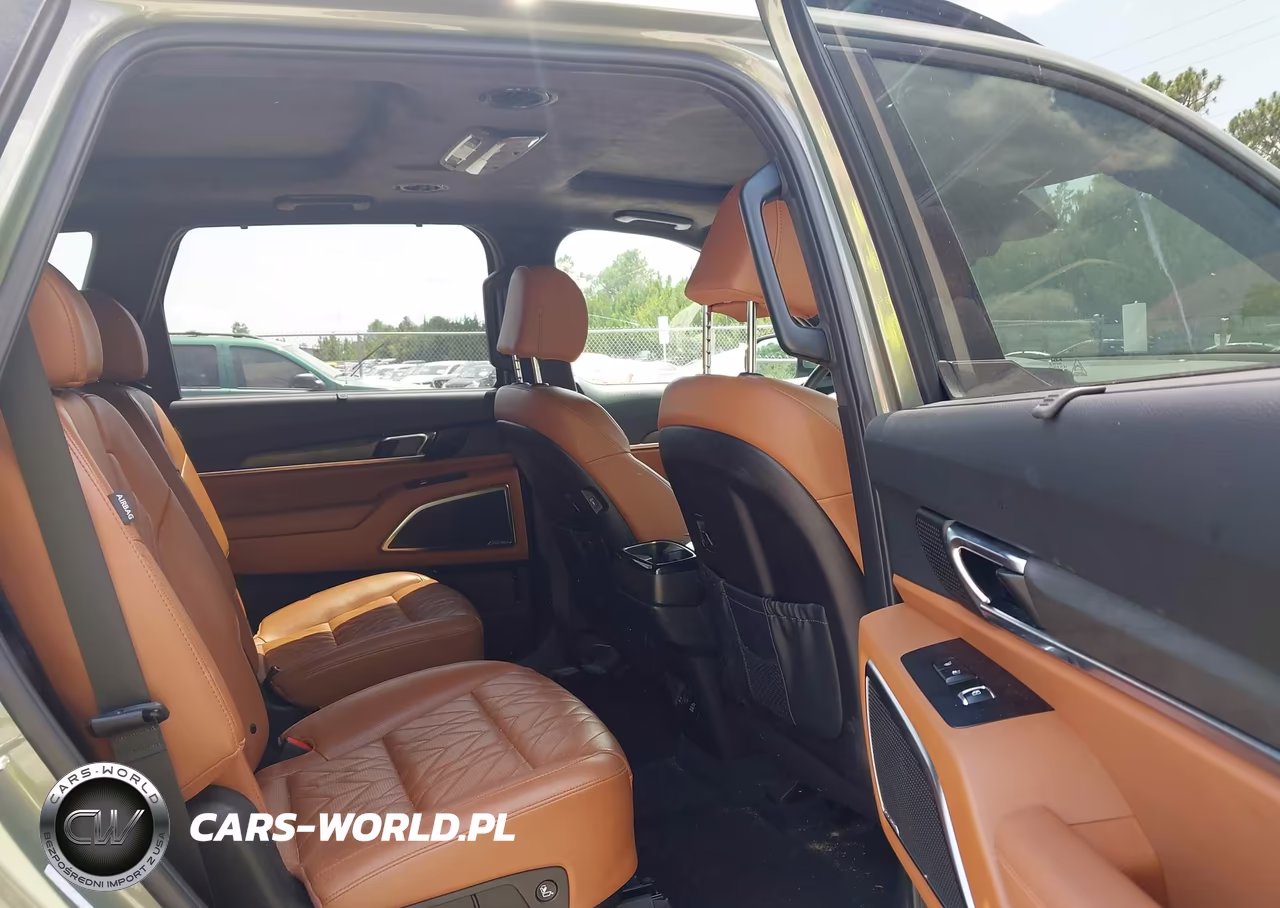 2024 Kia Telluride Sx Prestige X-Pro VIN:5XYP5DGC9RG518669 - 8