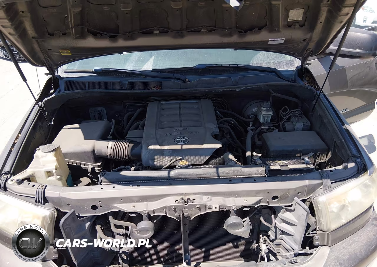 2010 Toyota Tundra Grade 4.6L V8 VIN:5TFRM5F14AX005994 - 10