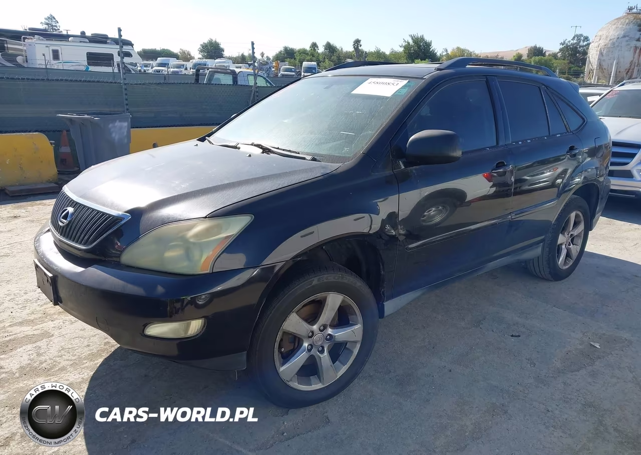 2004 Lexus Rx 330 VIN:JTJGA31U740012356 - 2