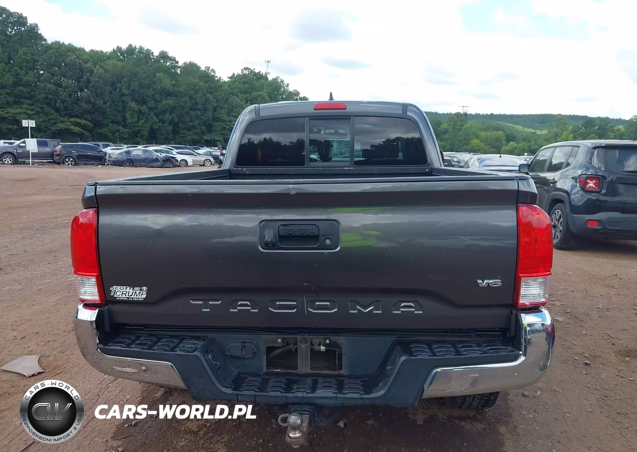 2016 Toyota Tacoma Sr5 V6 VIN:5TFRZ5CN4GX021159 - 17