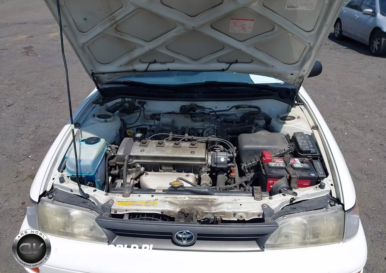 1995 Toyota Corolla Le-Dx VIN:JT2AE09B1S0105281 - 10
