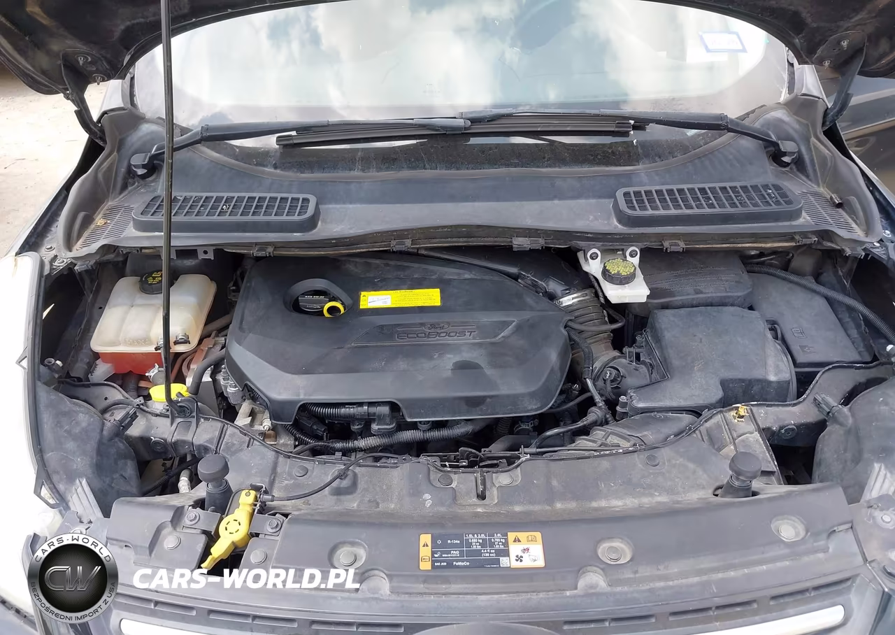 2015 Ford Escape Se VIN:1FMCU0GX4FUB93111 - 10