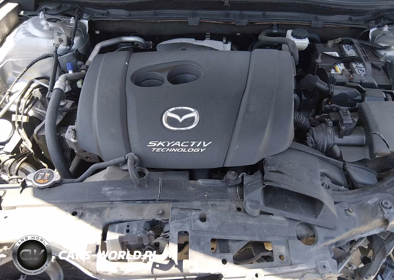 2016 Mazda Mazda3 I Sport VIN:JM1BM1T76G1355772 - 10