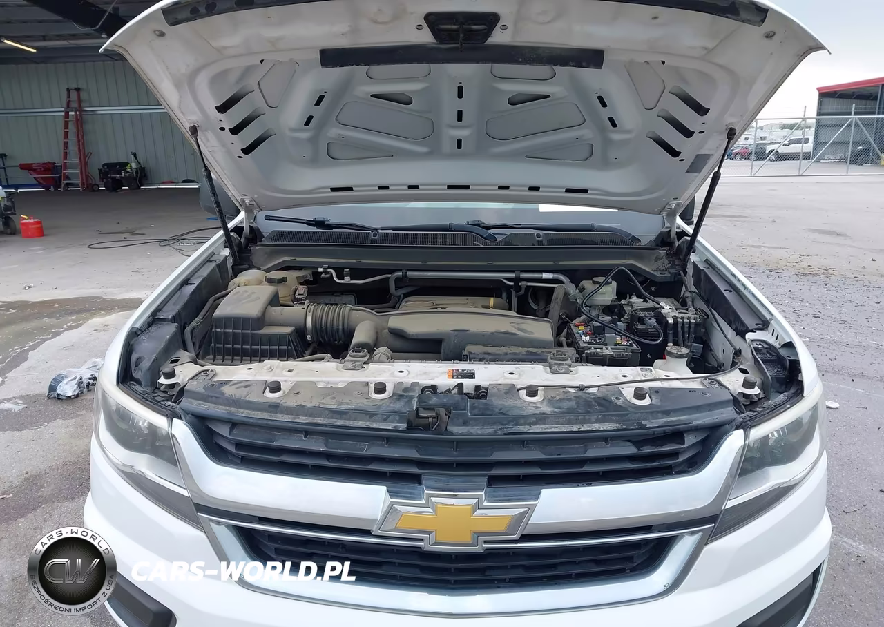 2016 Chevrolet Colorado 2Wd Wt VIN:1GCHSBEA6G1101431 - 10