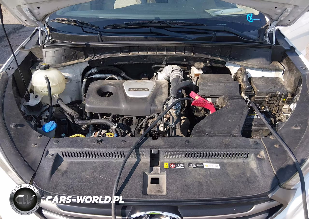 2016 Hyundai Tucson Eco-Limited-Sport VIN:KM8J3CA28G4240506 - 10