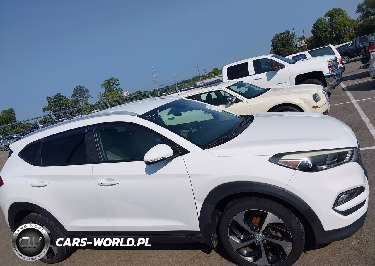 2016 Hyundai Tucson Eco-Limited-Sport VIN:KM8J3CA28G4240506 - 13