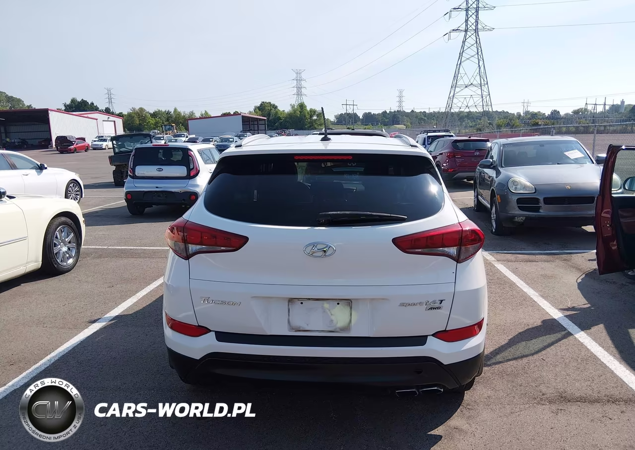 2016 Hyundai Tucson Eco-Limited-Sport VIN:KM8J3CA28G4240506 - 16