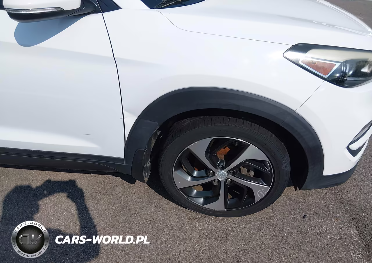 2016 Hyundai Tucson Eco-Limited-Sport VIN:KM8J3CA28G4240506 - 6