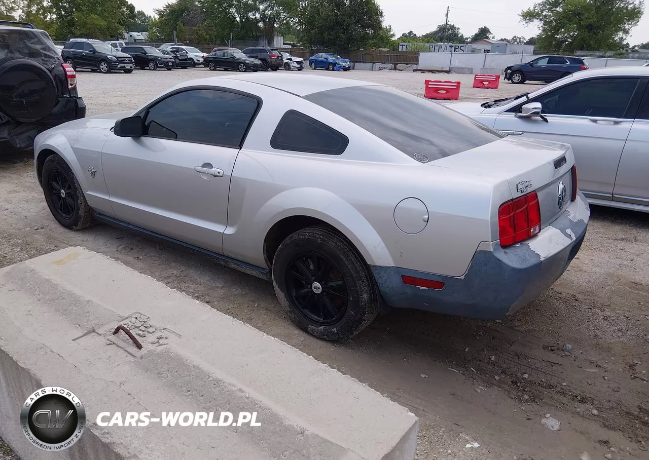 2009 Ford Mustang V6-V6 Premium VIN:1ZVHT80N595123150 - 3