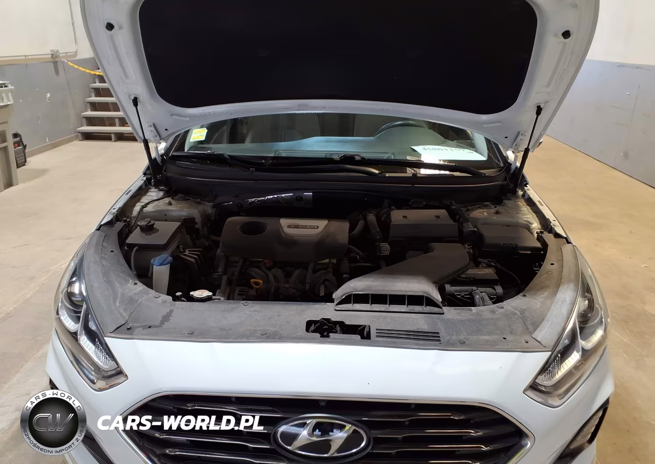 2018 Hyundai Sonata Eco VIN:5NPE24AA4JH701109 - 10