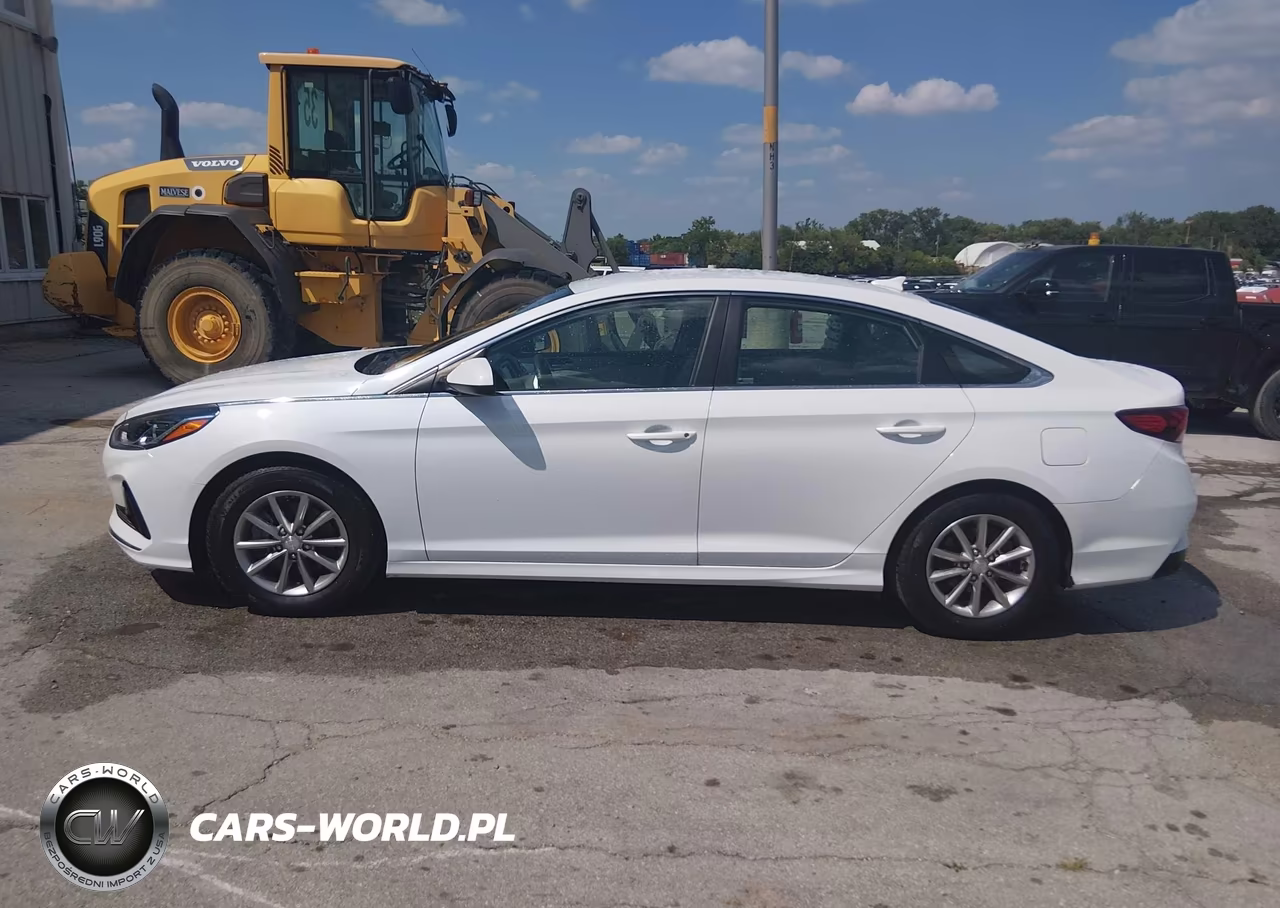 2018 Hyundai Sonata Eco VIN:5NPE24AA4JH701109 - 16