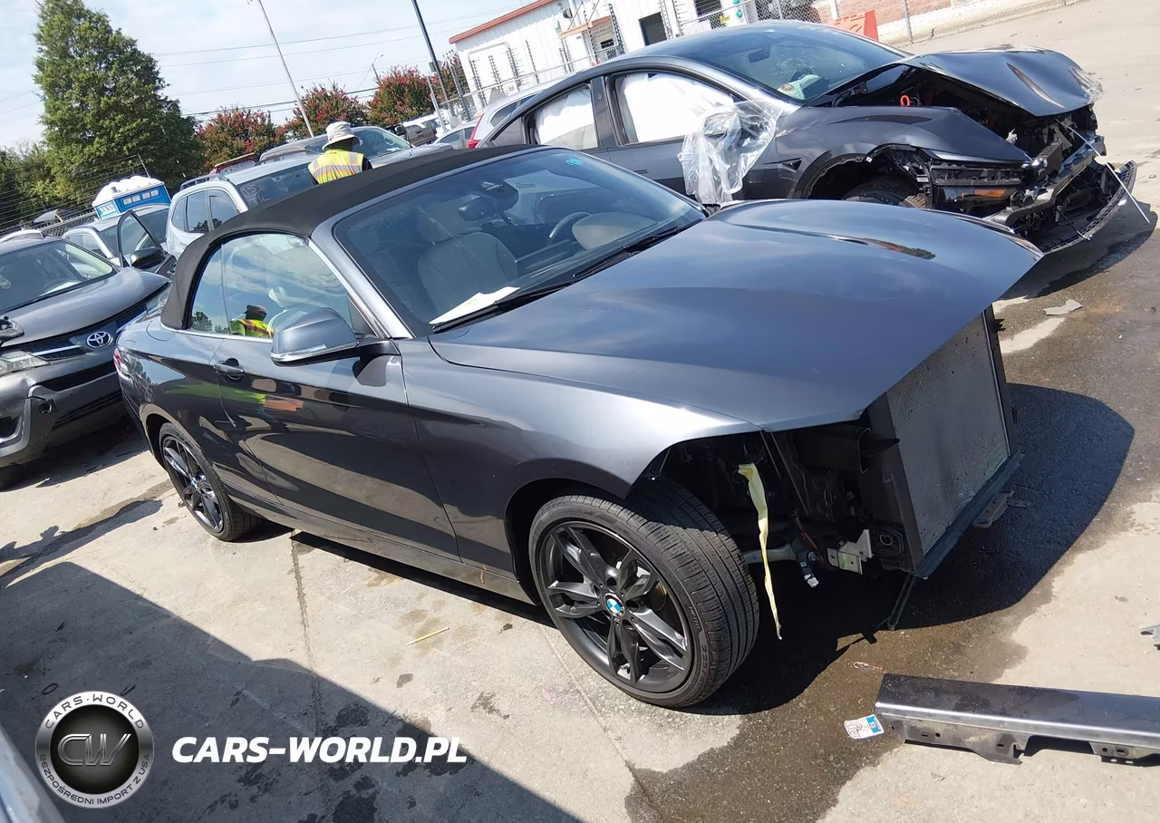 2017 BMW 230I