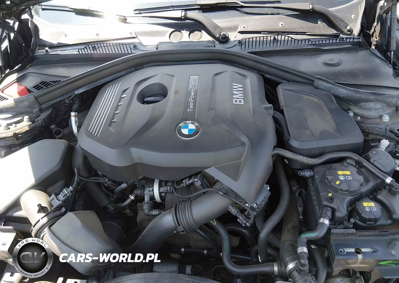 2017 BMW 230I VIN:WBA2K9C59HV646793 - 10