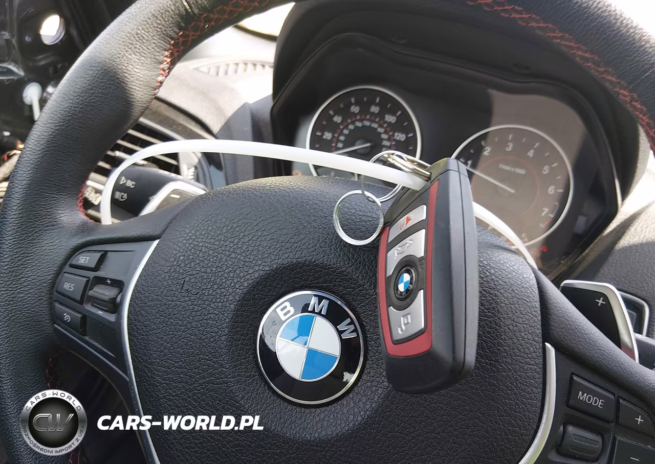 2017 BMW 230I VIN:WBA2K9C59HV646793 - 11