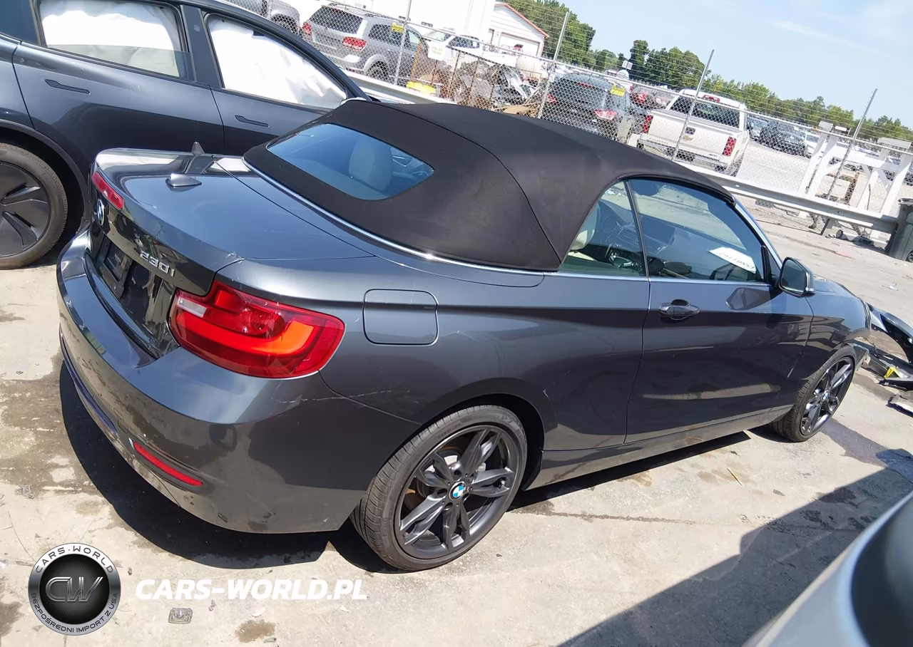 2017 BMW 230I VIN:WBA2K9C59HV646793 - 14
