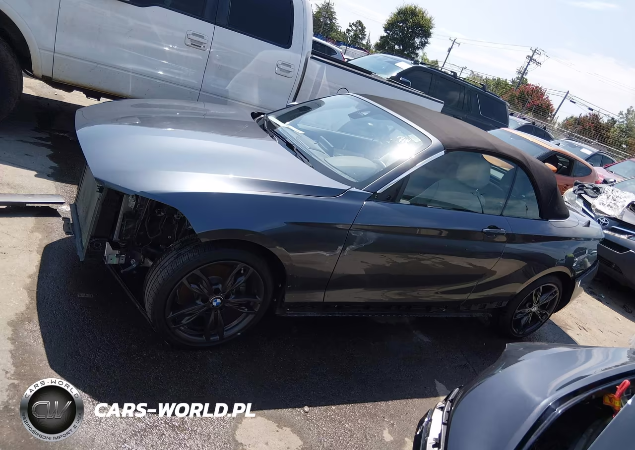 2017 BMW 230I VIN:WBA2K9C59HV646793 - 15