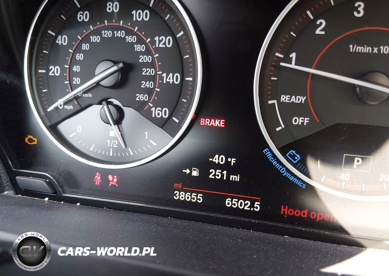 2017 BMW 230I VIN:WBA2K9C59HV646793 - 16