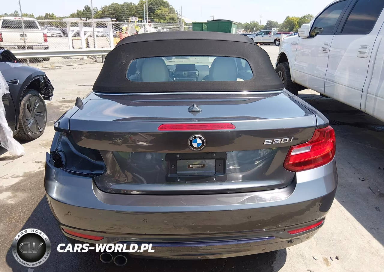 2017 BMW 230I VIN:WBA2K9C59HV646793 - 17