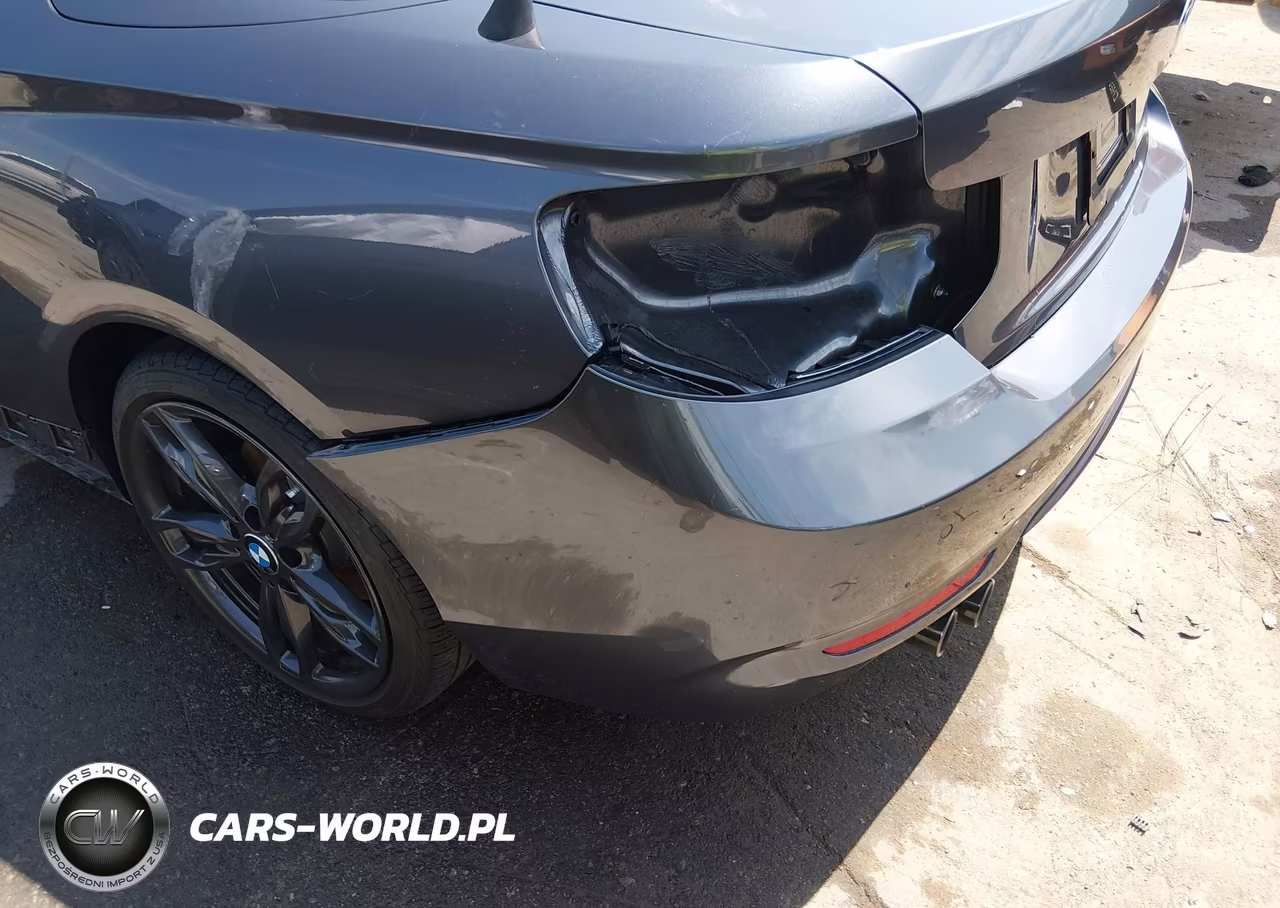 2017 BMW 230I VIN:WBA2K9C59HV646793 - 18