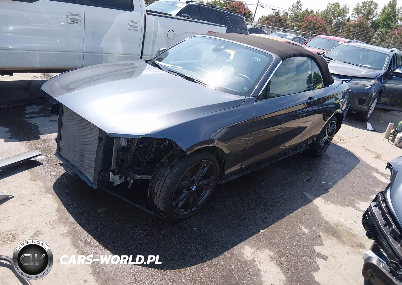 2017 BMW 230I VIN:WBA2K9C59HV646793 - 2