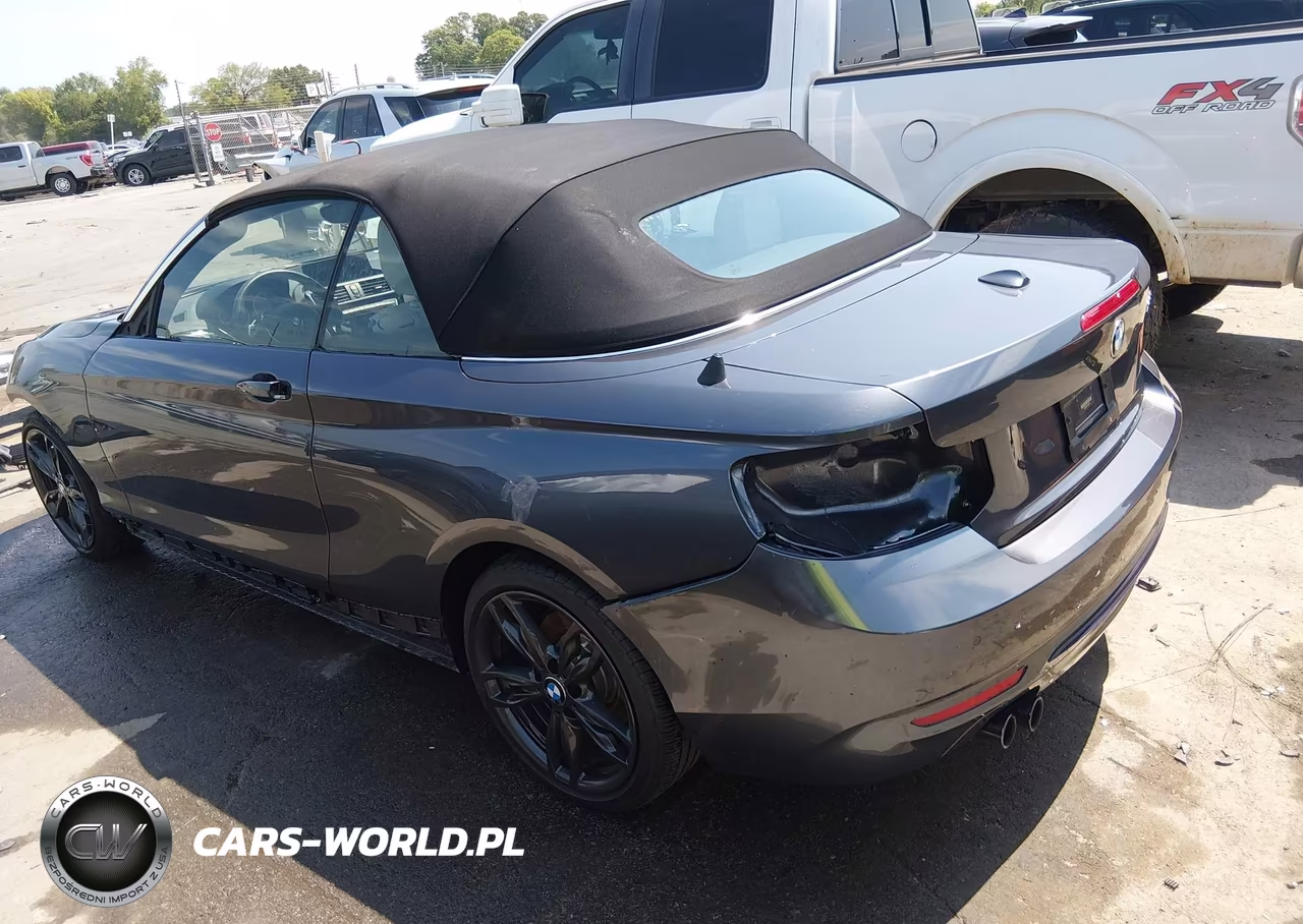 2017 BMW 230I VIN:WBA2K9C59HV646793 - 3