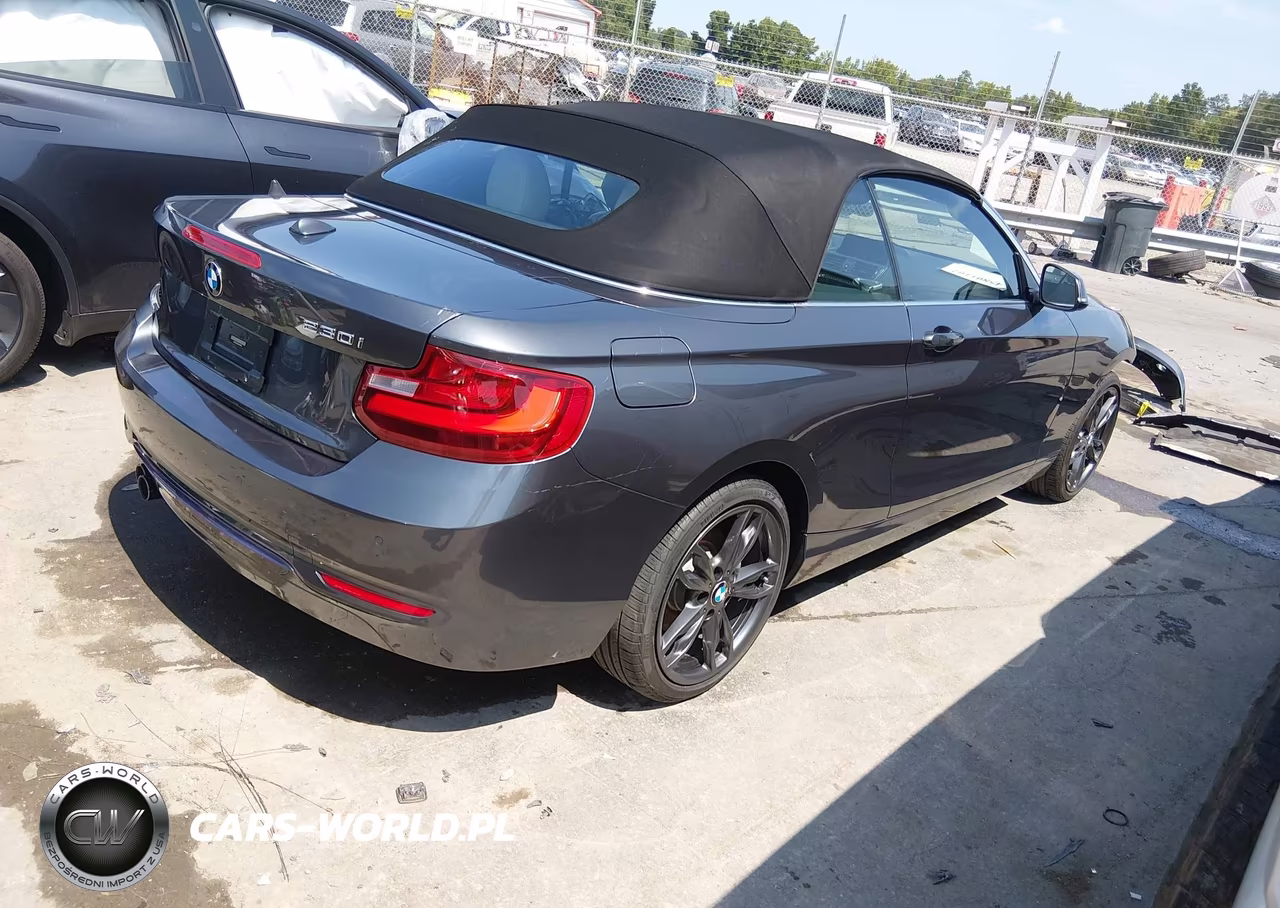 2017 BMW 230I VIN:WBA2K9C59HV646793 - 4