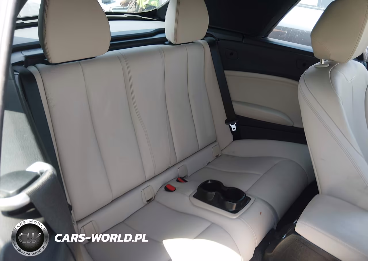 2017 BMW 230I VIN:WBA2K9C59HV646793 - 8
