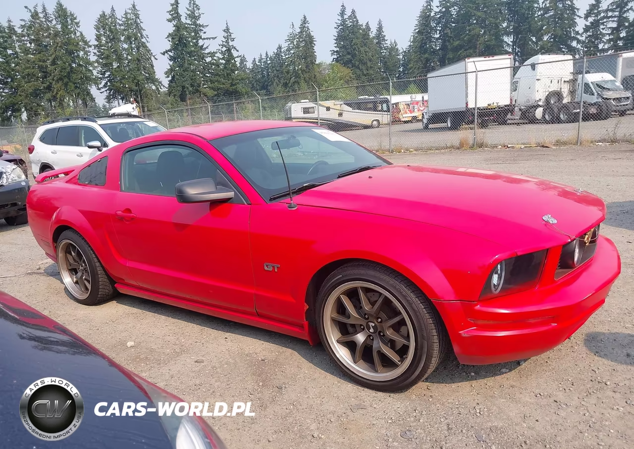 2006 Ford Mustang Gt VIN:1ZVHT82H365228708 - 13