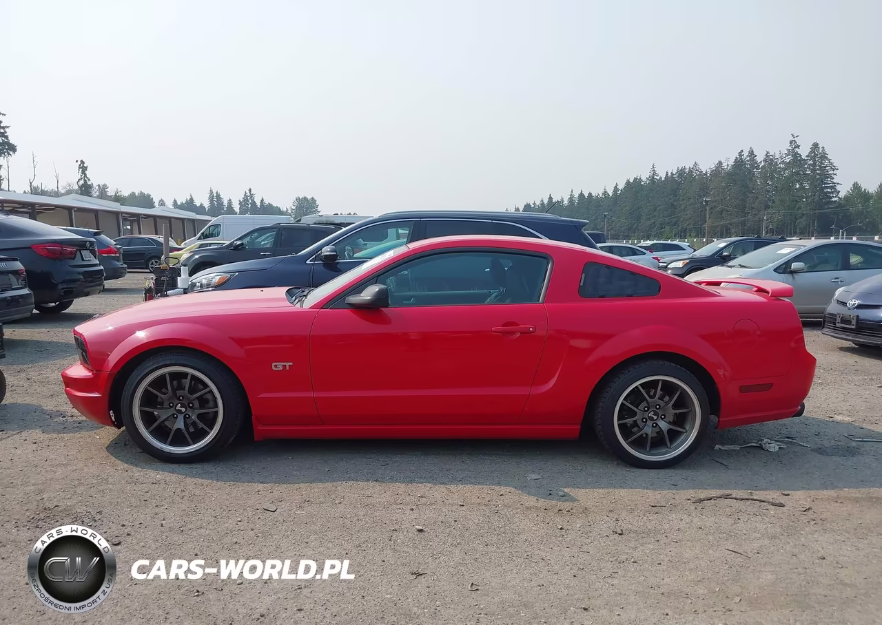 2006 Ford Mustang Gt VIN:1ZVHT82H365228708 - 14