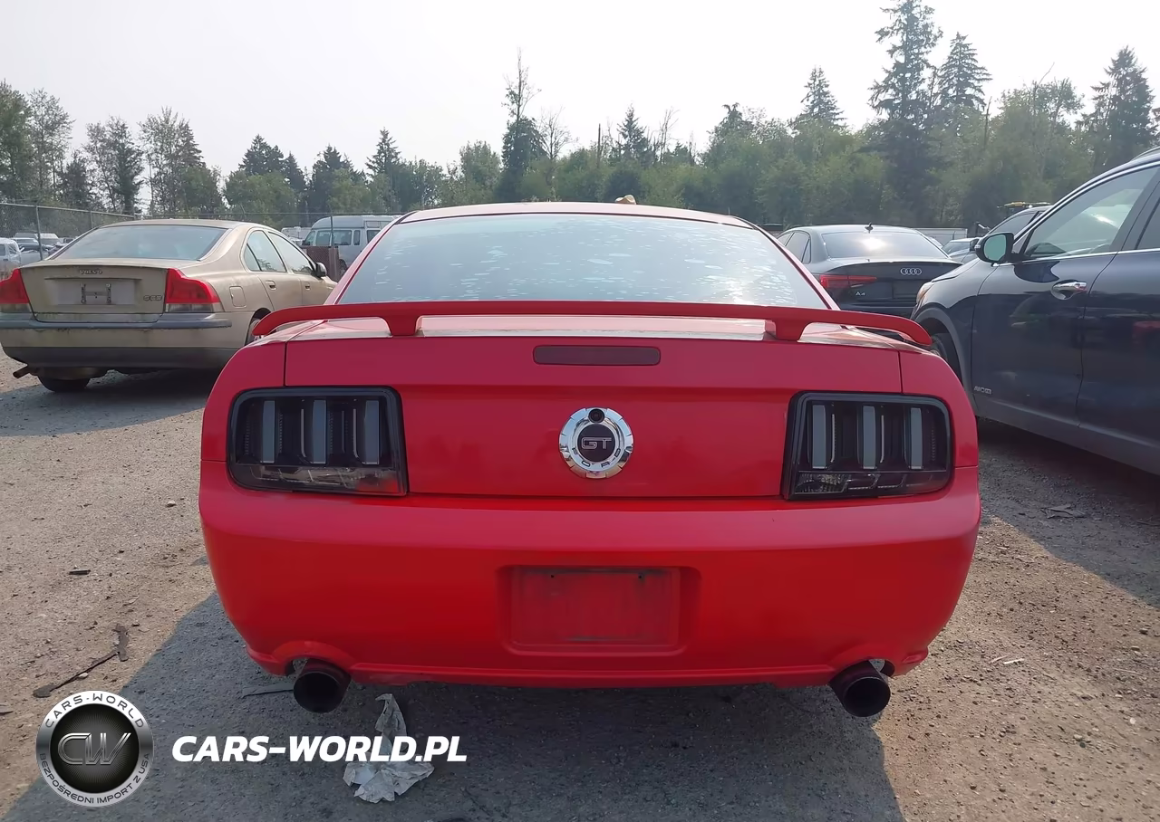 2006 Ford Mustang Gt VIN:1ZVHT82H365228708 - 16