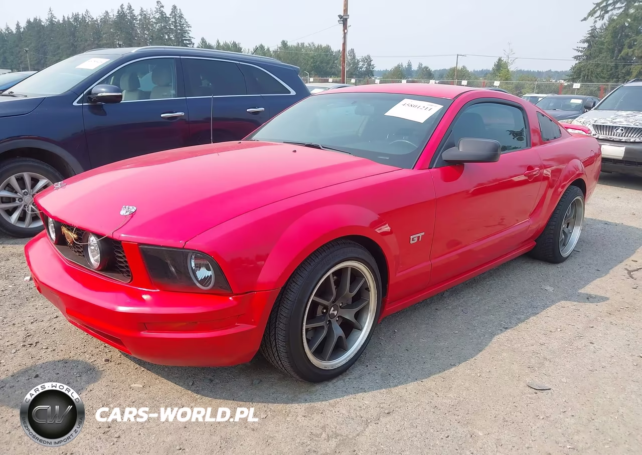 2006 Ford Mustang Gt VIN:1ZVHT82H365228708 - 2