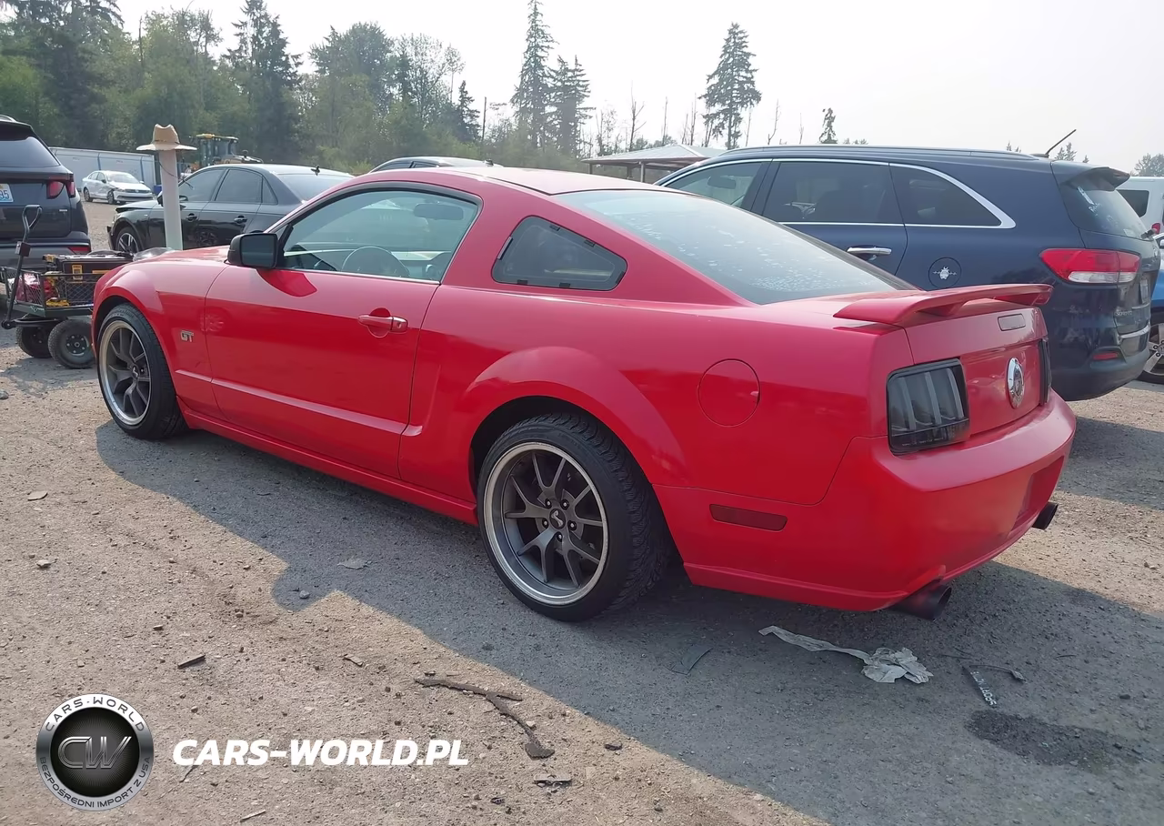 2006 Ford Mustang Gt VIN:1ZVHT82H365228708 - 3