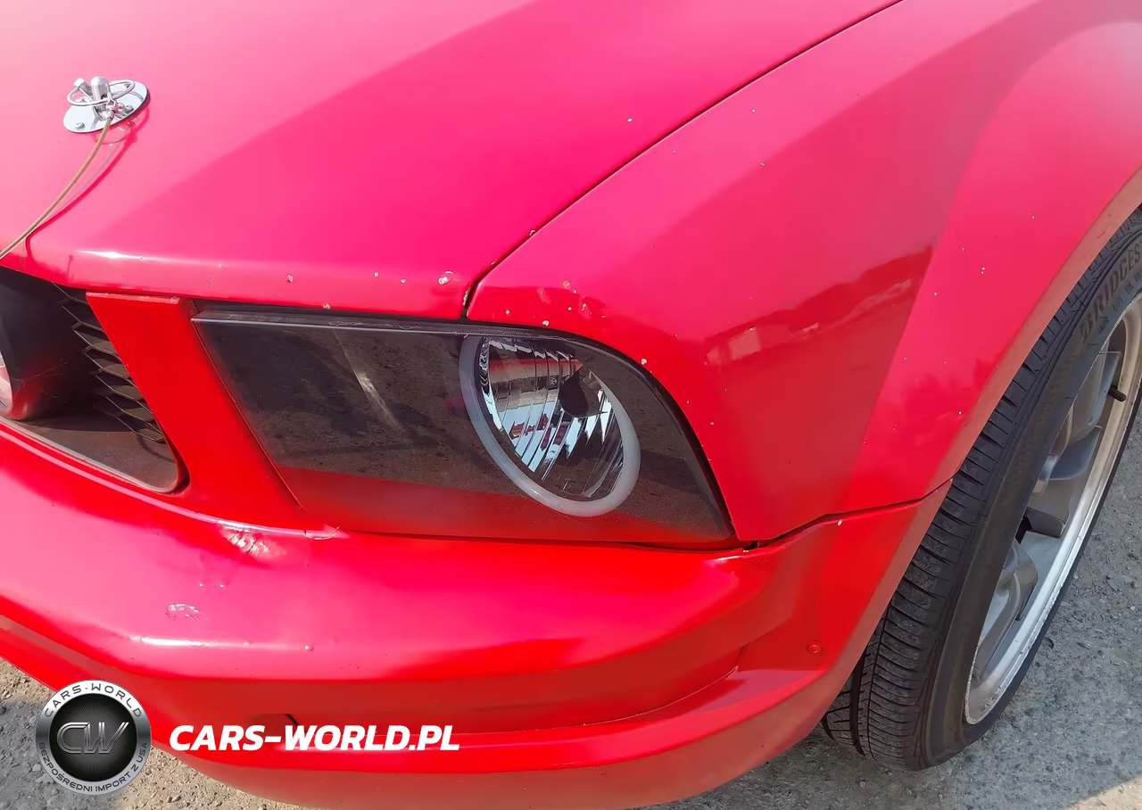 2006 Ford Mustang Gt VIN:1ZVHT82H365228708 - 6
