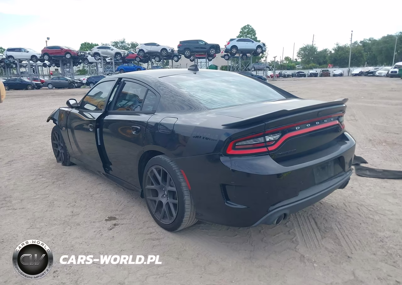 2017 Dodge Charger Daytona 340 Rwd VIN:2C3CDXCT5HH535482 - 3